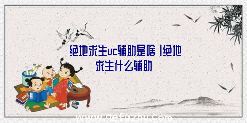 「绝地求生uc辅助是啥」|绝地求生什么辅助